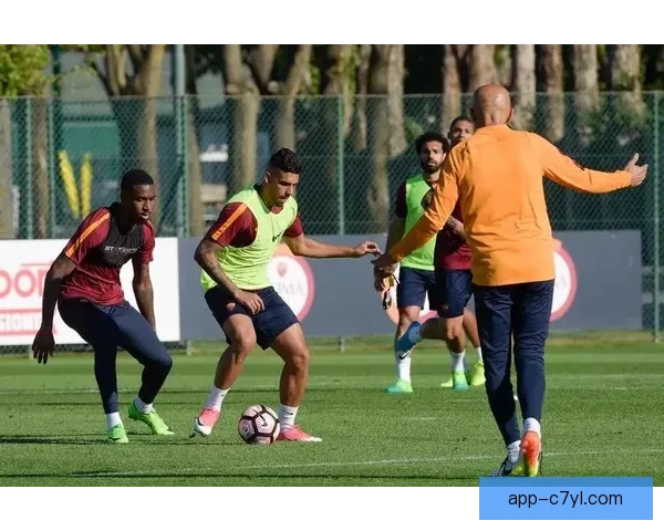 迪马萨56内收肌伤战罗马存疑