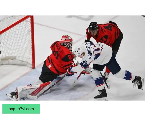 冬奥美国加时胜加拿大夺金男冰 冬奥美国加时胜加拿大夺金男冰